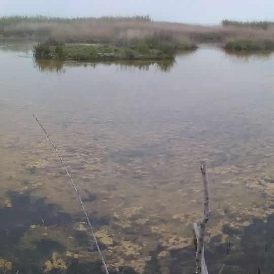 Riserva naturale della Sentina