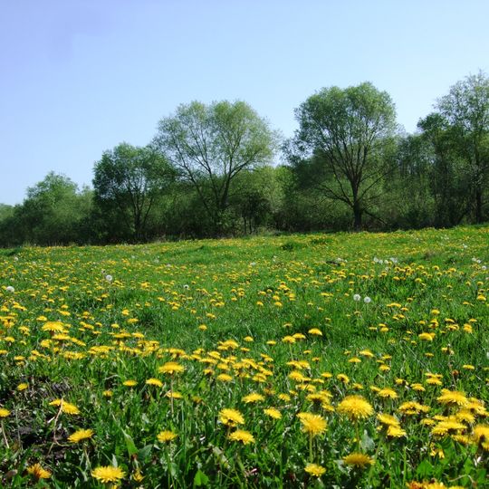Wasserschutzgebiet Mala Rostiwka