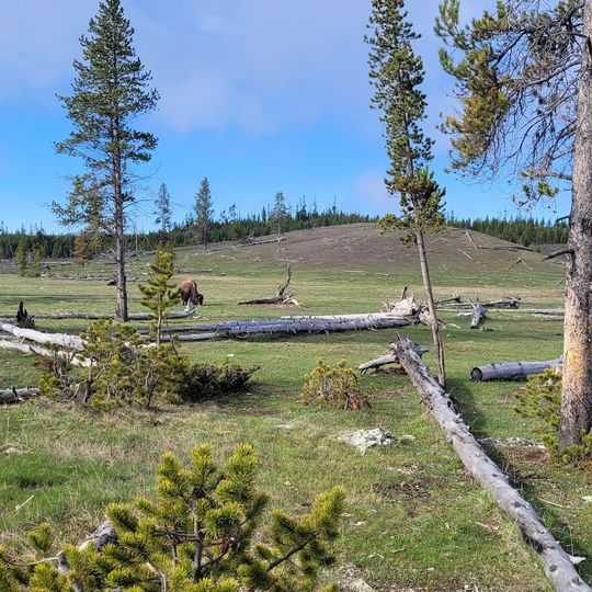 Sentinel Meadows East