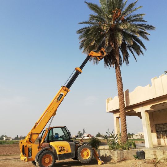Hawija