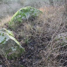 Großsteingrab Stegelitz 1