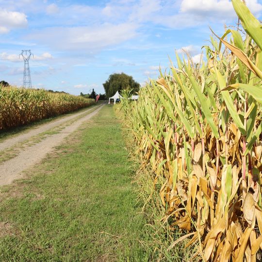 Labyrinthe de Beauregard