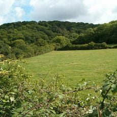 Aller and Beer Woods