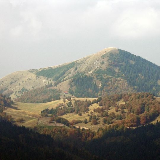 Borišov