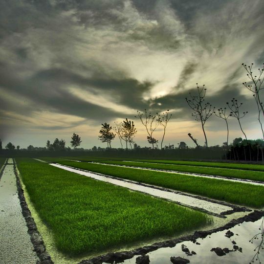 Shahrestān di Mahmudabad