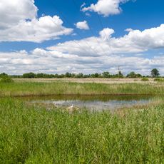 Eich-Gimbsheimer Altrhein
