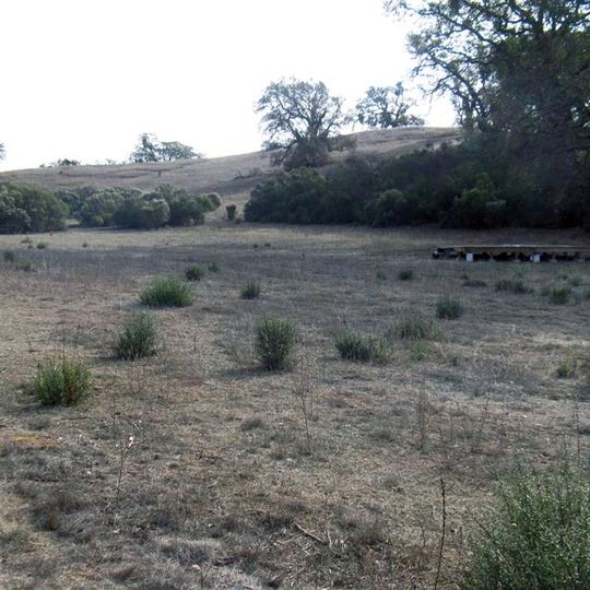 Blue Oak Ranch Reserve