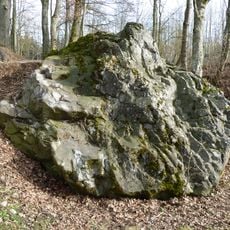 Glacial erratics in Bad Schussenried