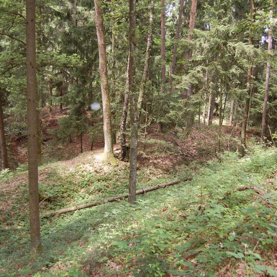 Burgstall Schwarzgrub