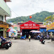 Local Produce Market