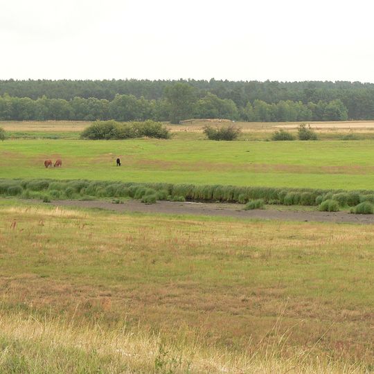 Burgwall von Meetschow