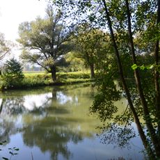 Morgensand und Seelachen