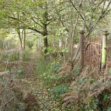 Ruislip Woods