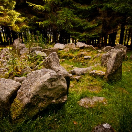 Ballyedmonduff Wedge Tomb
