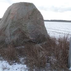 Naujamiestis boulder