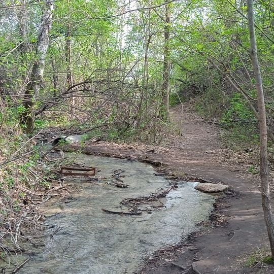 State Forest Nature Reservat "Semey Ormany"