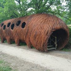 Myriapode - Duizendpoot