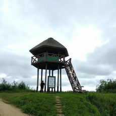 Wooden lookout tower