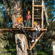 Tree Climb Adelaide