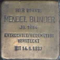 Mendel Blinder