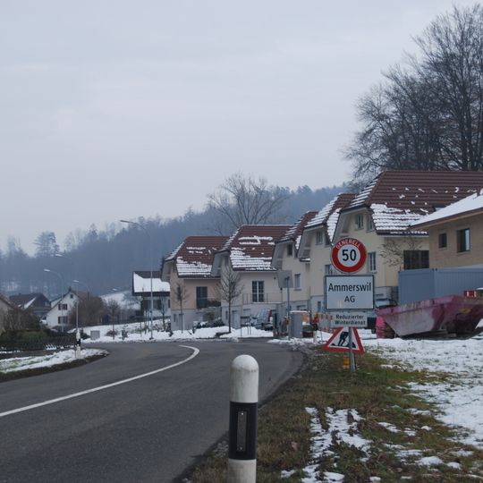 Ammerswil