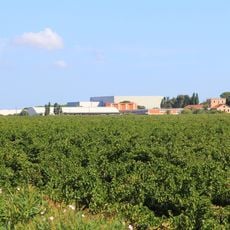 Museo "Sella e Mosca"