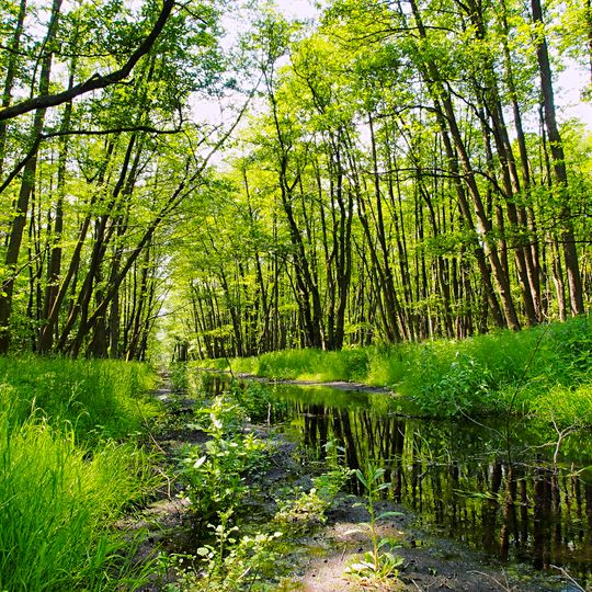 Herrensee, Lange-Damm-Wiesen und Barnim-Hänge