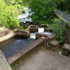 Encoro do Pé da Viña