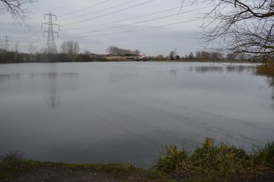 Immagine alternativa