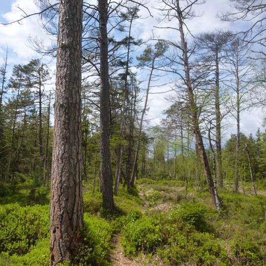 Murn, Murner Filz und Eiselfinger See