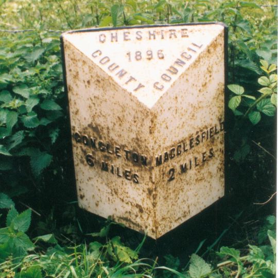 Milepost, near Danes Moss Farm entrance