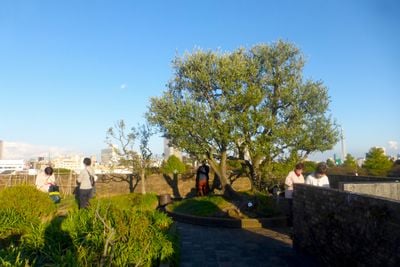 Краєвид 1