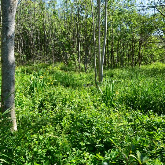 Réserve naturelle de Nevlungstranda