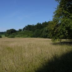Gerlhamer Moor, Seewalchen am Attersee