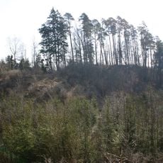Didžiokų piliakalnis