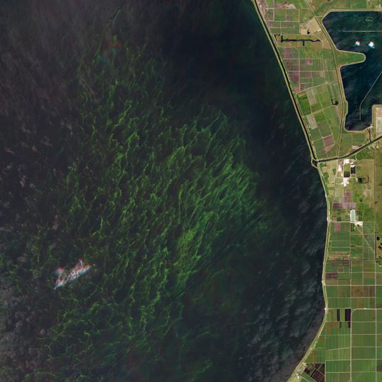 Lake Okeechobee