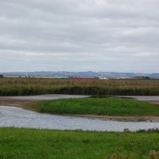 Blacktoft Sands RSPB reserve
