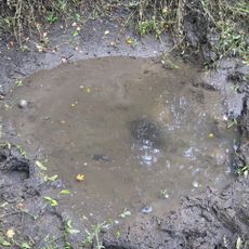 Water End Swallow Holes