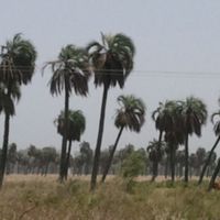 Dipartimento di Esquina