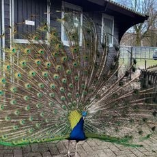 Kinderboerderij Het Akkertje