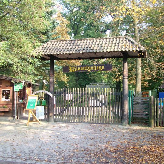 Wisentgehege Springe