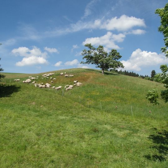 Oberes Osterzgebirge