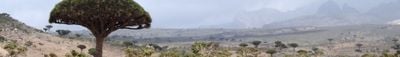 Panoramic View 4