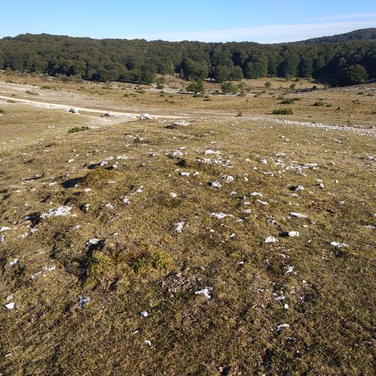 Etxarriko portugañe