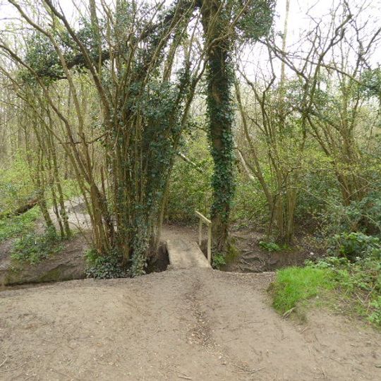 Blunts Wood and Paiges Meadow