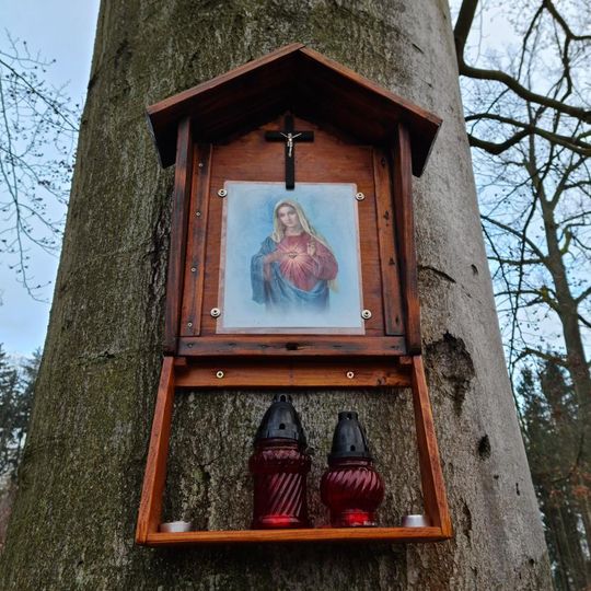 Obrázek na stromu u silnice severozápadně hájovny Vlastec