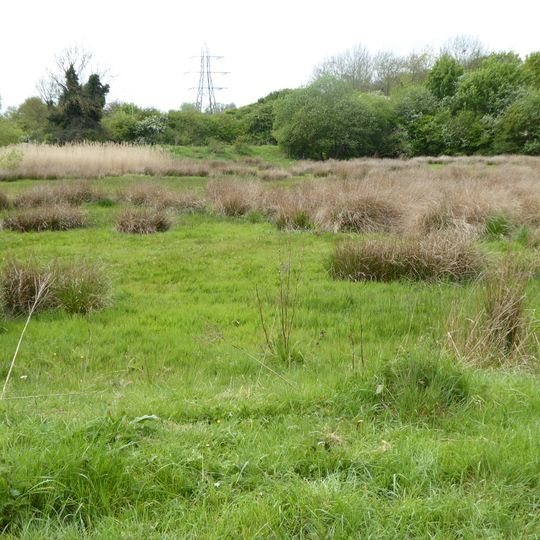 Abington Meadows