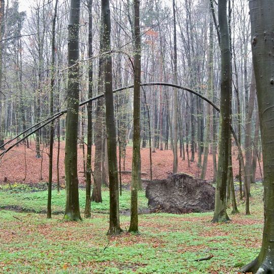 Nature reserve Wydrze