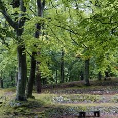 Bażantarnia Park in Elbląg