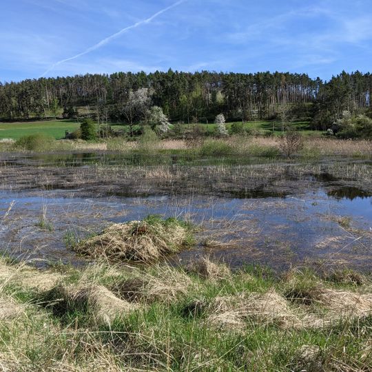 Rybník Starý u Líchov